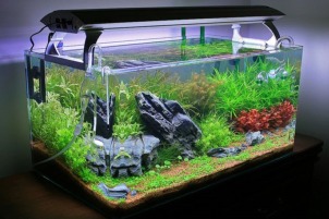 Silicone Glue Products manufactured by Shin Dorn