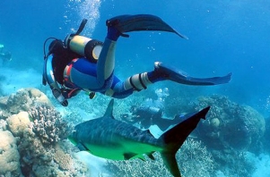 Rubber Cement Products manufactured by Shin Dorn