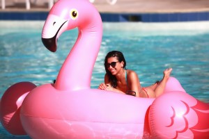 UV Glue Products manufactured by Shin Dorn