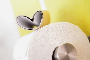  toilet tissue holder